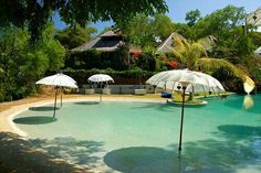 an outdoor swimming pool with umbrellas and lounge chairs in the shade, surrounded by tropical trees