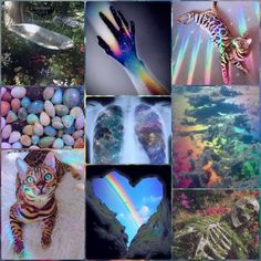 a collage of pictures with animals, rocks and rainbow colors in the sky above them