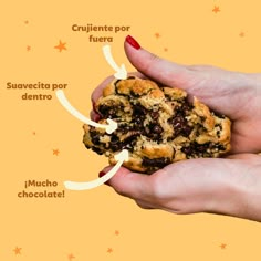 Galletas de chips de chocolate Cosmo Cookies, Cookies Instagram Feed, Cookies Marketing, Cute Bakery Logo, Cookies Advertisement, Cookie Ads, Bakery Photography, Cookie Photography