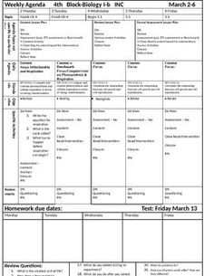 a table with numbers and symbols for each type of language, including the number of words in