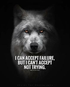 Now Quotes, Daily Quotes Positive, Jack Ma, Wolf Spirit Animal, Motivational Quotes For Students, Youtube Money