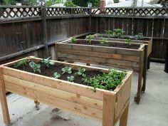 three wooden raised garden beds with plants growing in them