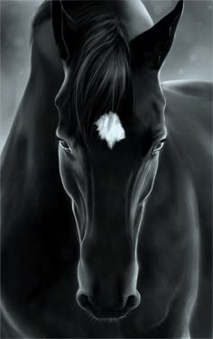 a black and white photo of a horse with the words black beauty on it's forehead