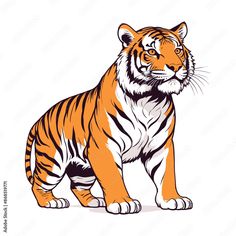 an orange tiger standing on top of a white background