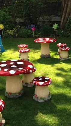 a group of red and white mushrooms sitting on top of lush green grass covered ground