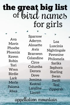 the great big list of bird names for girls with birds flying over water and mountains in the background