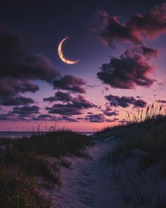 a crescent moon is seen in the sky above sand dunes and grass at sunset on a cloudy day