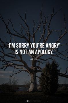 a tree with the quote i'm sorry you're angry is not an apology