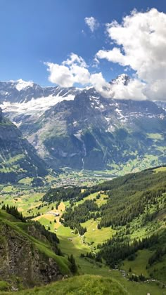 the mountains are covered in snow and green grass, with trees on each side as far as the eye can see