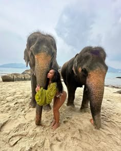 a woman standing next to two elephants on top of a sandy beach