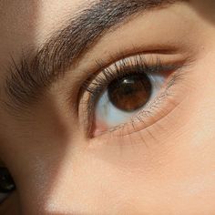 Brown Eyes Facts, Brown Eyes Tumblr, Brown Eye Quotes, Brown Eyelashes, Brown Eyes Blonde Hair, Brown Eyes Aesthetic, Beautiful Brown Eyes, Eye Pictures, Camila Morrone