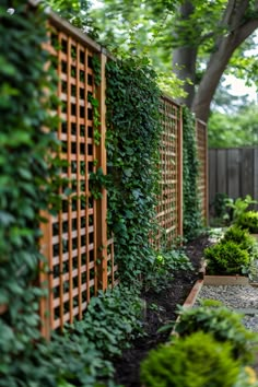 Wooden lattice fence covered in lush green vines, with small garden beds and plants along a gravel pathway in a serene backyard setting. Vine Privacy Wall, Backyard Trellis Privacy, Cottage Garden Privacy, Landscape Privacy Screen, Small Backyard Privacy Landscaping, Backyard Screening Ideas, Privacy Screen Ideas Outdoor, Natural Fence Ideas Privacy Hedge