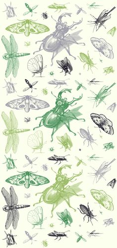 an image of many different bugs and insects in the air with green ink on white paper