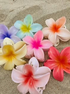 A hawaiian flower clip Hibiscus Flower Clip, Hawaiian Flower Clip, Hair Clips Styles, Summer Presents, Flowers Hair Clips, Flower Claw Clips, Hawaii Nails, Flower Claw Clip, Hawaii Flowers