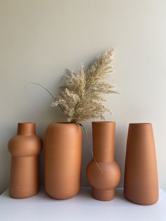 three vases and one plant are sitting on a shelf next to each other in front of a white wall