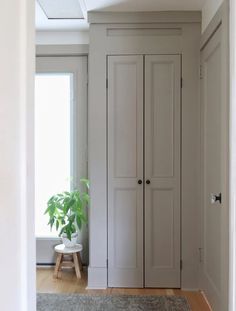 an empty room with two white doors and a plant in the corner on the far wall