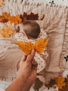 a baby is laying down on a blanket with leaves in it's lap and its head held up to the side