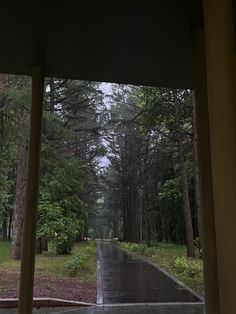 an empty road in the woods on a rainy day