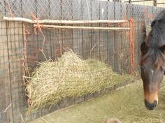 a horse standing next to a pile of hay