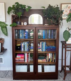 a bookshelf filled with lots of books and plants