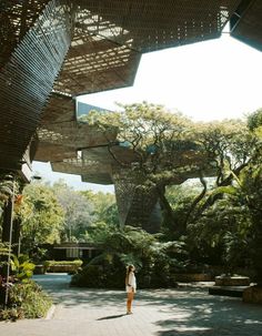 a woman is standing in the middle of an outdoor area with many trees and plants