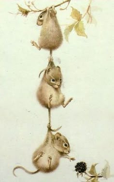 three little mice hanging upside down on a branch