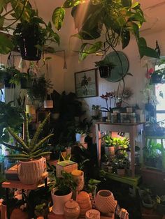 a room filled with lots of potted plants