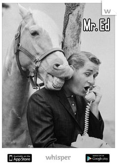 a man talking on the phone while holding a horse's head