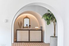 an arched hallway with a potted plant and mirror