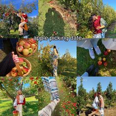 people picking apples in an apple orchard with the caption'apple picking date '