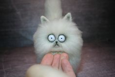 a hand holding a white stuffed animal with blue eyes