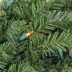 a close up of a pine tree with green needles and small white lights on it