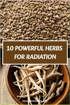 Discover the power of herbs for radiation with these natural remedies. Ease radiation burns with soothing botanicals and explore home remedies for radiation burn relief. Safely detox from radiation exposure with the best herbs and supplements, aiding in your body's natural cleansing process. Protect yourself from EMF exposure with anti-radiation herbs while enjoying foods that naturally detoxify your system. Combat inflammation and support healing with top herbs known for their detoxifying prope Herb Burning, Apothecary Supplies, Emp Survival, Radiation Burn, Bronchial Asthma, Natural Morning, Burn Relief, Homemade Medicine, Natural Cleansing