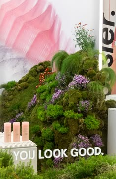 a display with moss and flowers on it