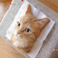 an orange cat sitting on top of a piece of cloth next to two crayons