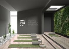 yoga mats lined up on the floor in front of a wall with plants and succulents