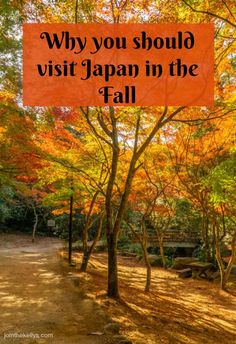 an orange sign that says why you should visit japan in the fall with trees and leaves