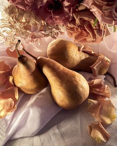 three pears on a cloth with flowers in the background