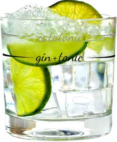 an alcoholic gin and tonic drink in a glass with lime slices on the rims