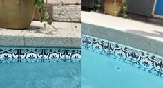 a potted plant sitting next to a swimming pool with blue tiles on the side