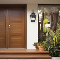 a wooden door with two potted plants next to it and a light on the wall