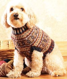 a white dog wearing a sweater sitting next to a basket with yarn in it and a ball of yarn on the floor