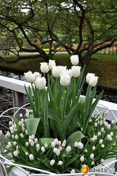 some white flowers are in a basket on a table