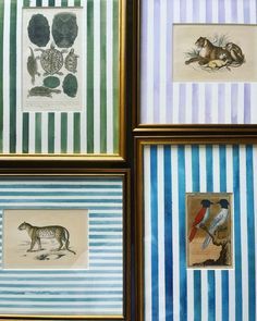 four framed pictures with animals and birds on striped paper in gold frames against a blue wall