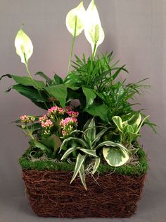 a basket filled with lots of different types of plants