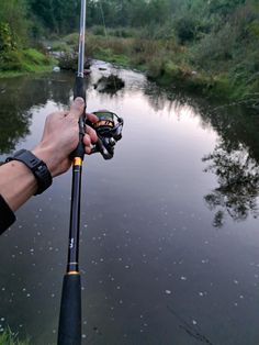 What reel and rod combo are you using the most? Fishing Rods, 2025 Vision, Fishing Rod, The Fish, Fishing Lures, Bass, Fishing, Vision Board, Fish