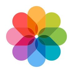 an image of a colorful flower that is in the middle of a white background,