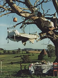 a tree with clothes hanging from it's branches in the middle of a field