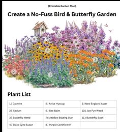 a garden with lots of flowers and plants on it, including the words create a no - fuss bird & butterfly garden