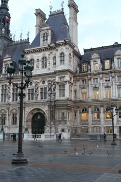 a large building with many windows and lots of birds on the ground in front of it